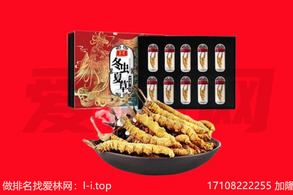 叙州区回收虫草.jpg